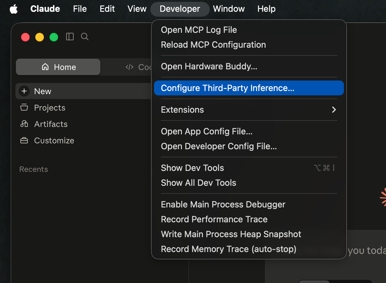 Вкладка Developer → Configure Third-Party Inference…
